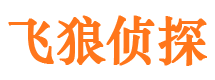 台江市私家侦探